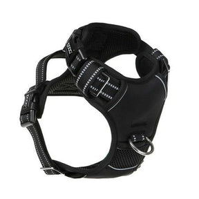 DOOG Neotech Dog Harness Black Large