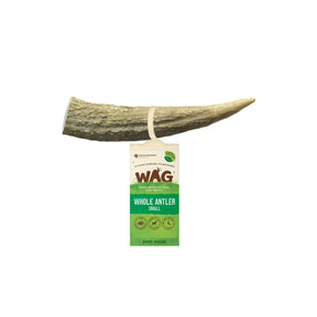 WAG Antler Whole Small