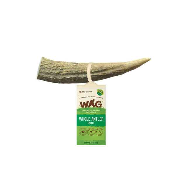 WAG Antler Whole Small