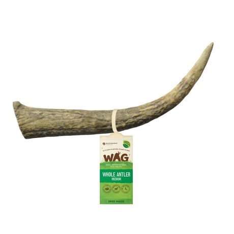 WAG Antler Whole Medium
