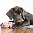 KONG Wubba Finz Dog Toy Large