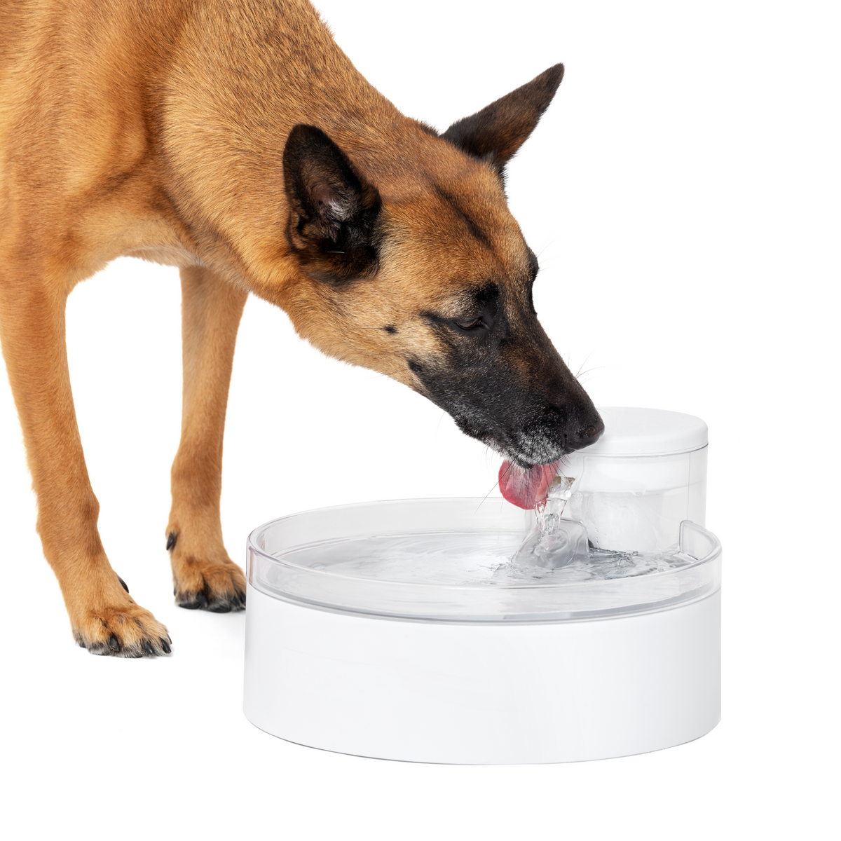 PetSafe Outlast Pumpless Pet Fountain 3.7L