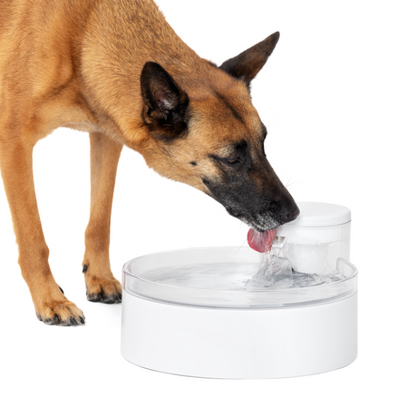 PetSafe Outlast Pumpless Pet Fountain 3.7L