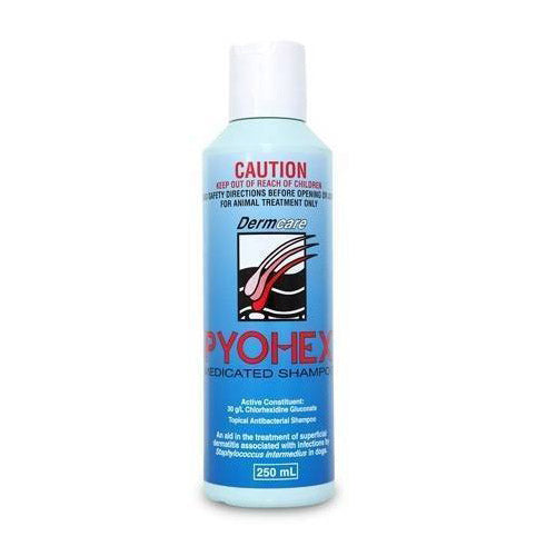Dermcare Pyohex Medicated Shampoo 250ml