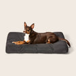 Snooza Ultra-Tuff Lounger Black