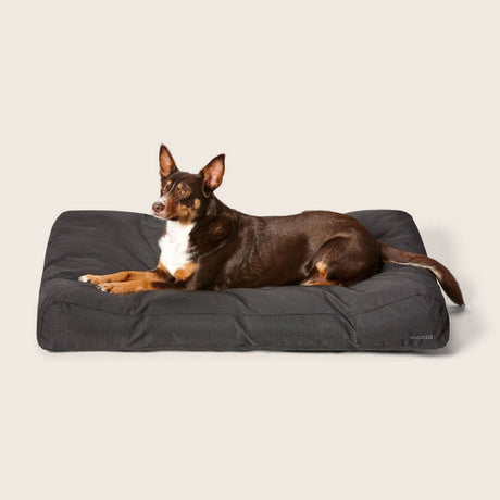 Snooza Ultra-Tuff Lounger Black