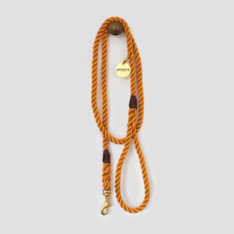 Animals in Charge Harvest Yellow Rope Dog Leash