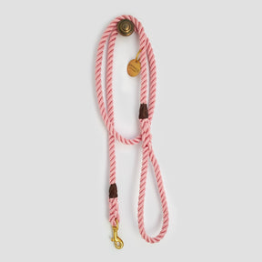 Animals in Charge Rose Pink Rope Dog Leash