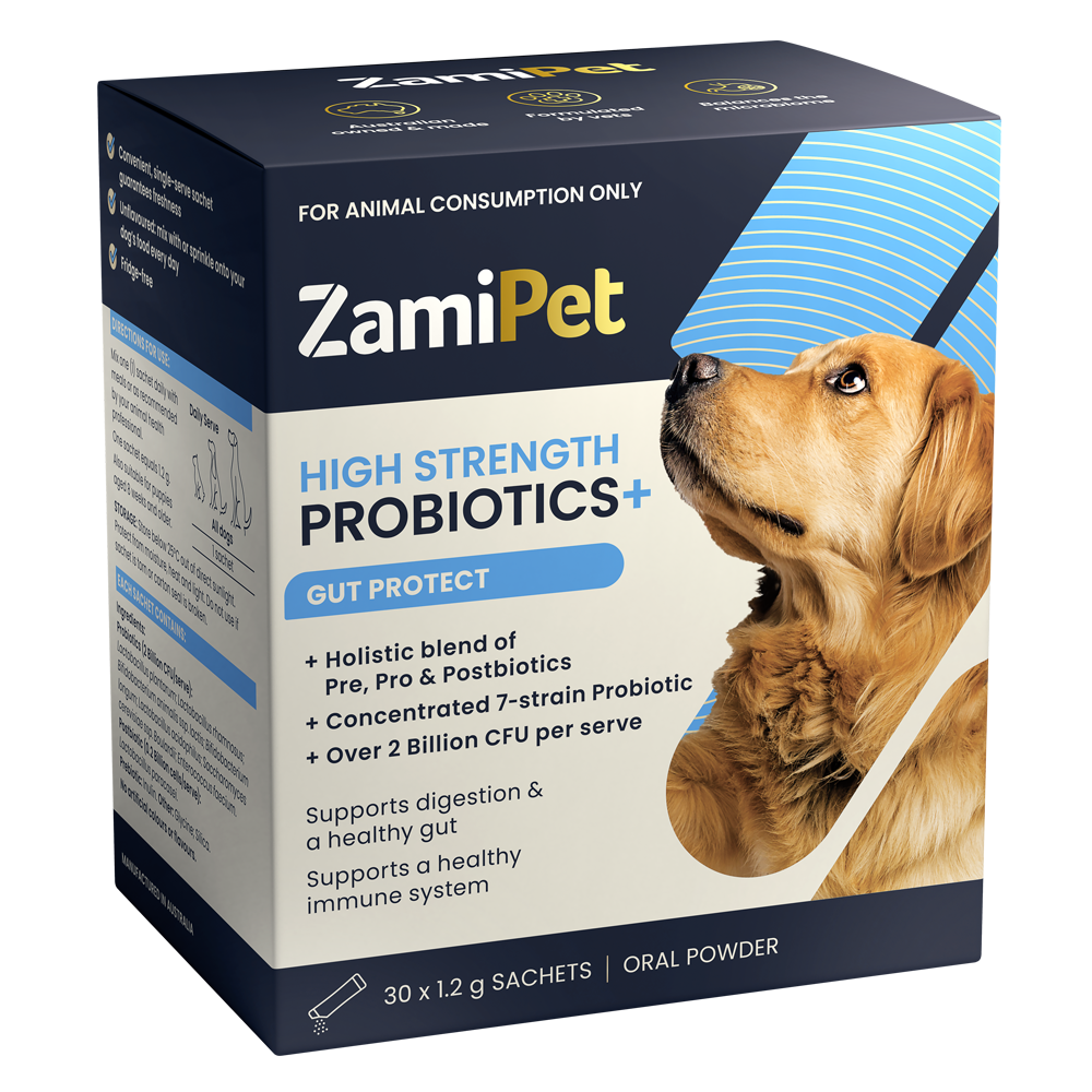 ZamiPet High Strength Probiotics+ Gut Protect 30 Sachets