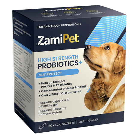 ZamiPet High Strength Probiotics+ Gut Protect 30 Sachets