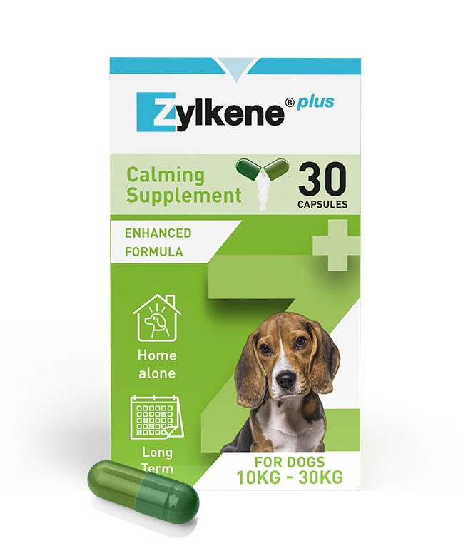 Zylkene Plus Medium Dog 30 Pack