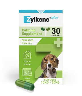 Zylkene Plus Medium Dog 30 Pack