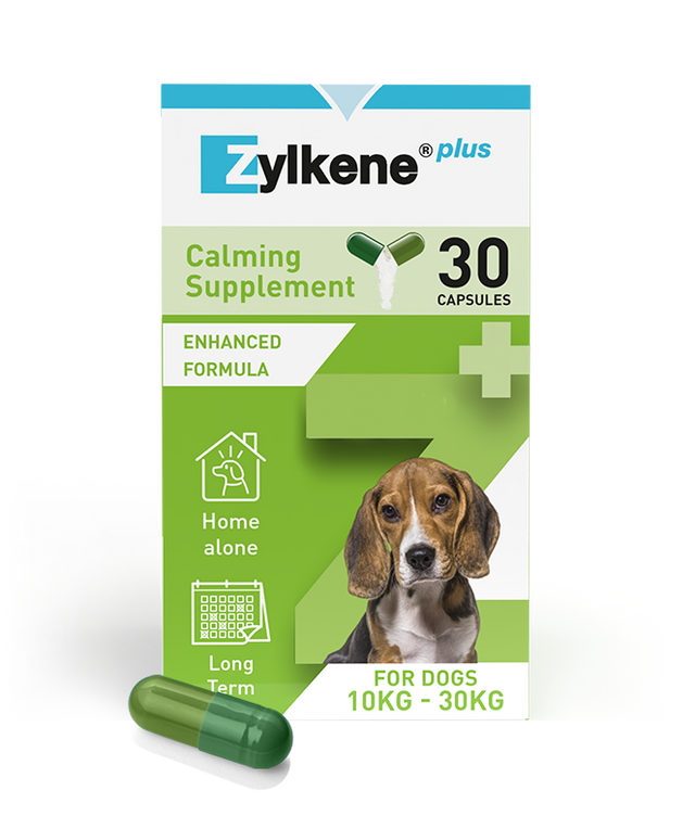 Zylkene Plus Medium Dog 30 Pack