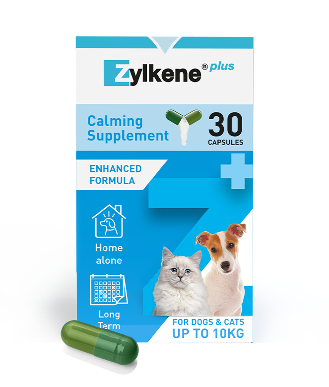 Zylkene Plus Small Dog & Cat 30 Pack