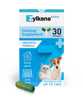 Zylkene Plus Small Dog & Cat 30 Pack