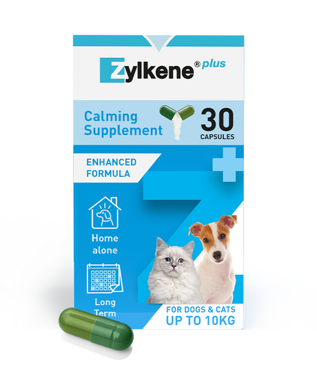 Zylkene Plus Small Dog & Cat 30 Pack