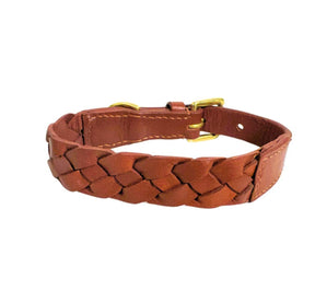 Georgie Paws Casey Dog Collar - Syrup