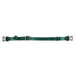 CAT COLLAR 14IN GREEN