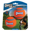 CHUCKIT TENNIS BALLS 2PK