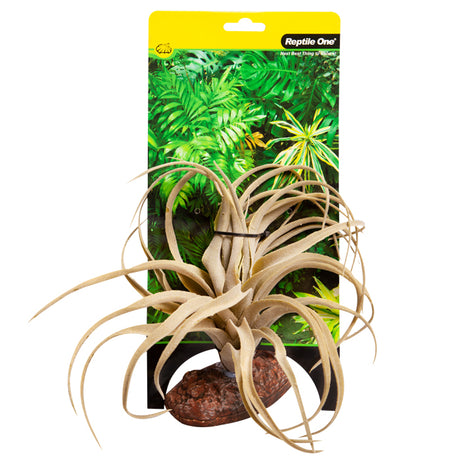 Reptile One Plant Exserta Green Medium