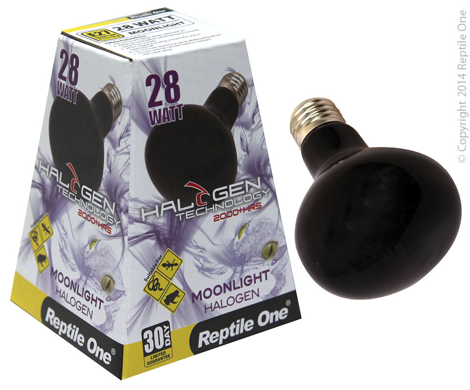 R/ONE Halogen Moonlight 28w