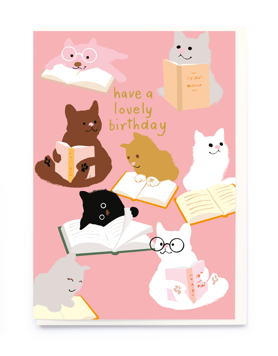 Noi Cats Reading Birthday Card