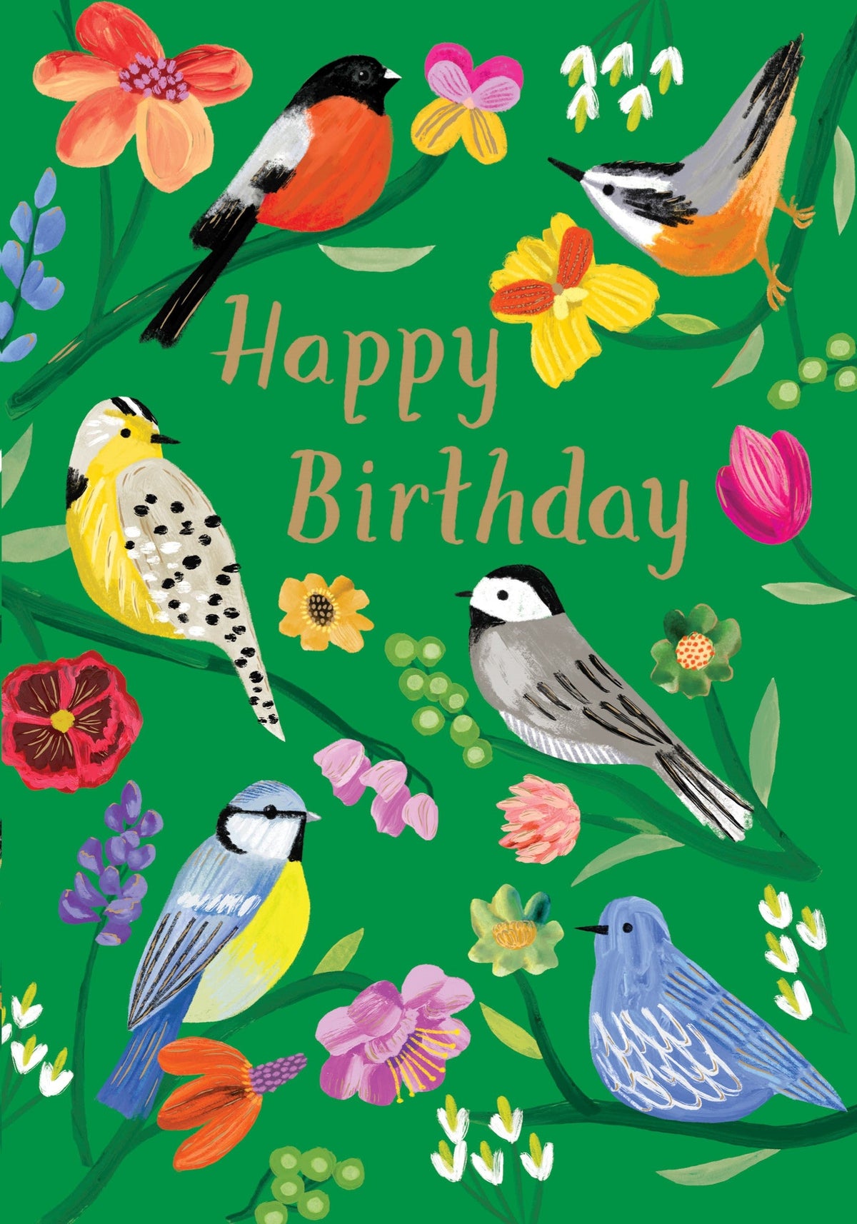 Roger La Borde Birdhaven Birthday Card