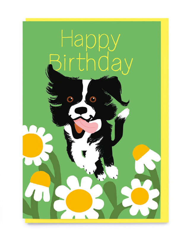 Noi Border Collie and Bees Card