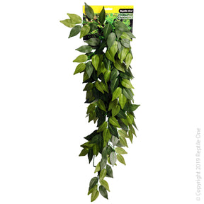 Reptile One Variegated Ivy Cascading Plant Green 72cm