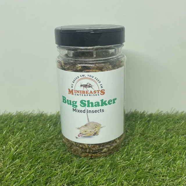 Bug Shaker- Mixed