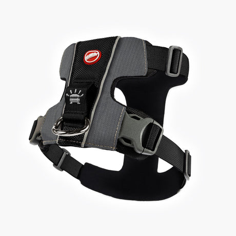 ED Harness X-Link XS Black
