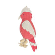 Georgie Paws Gav the Galah Dog Toy - Pink
