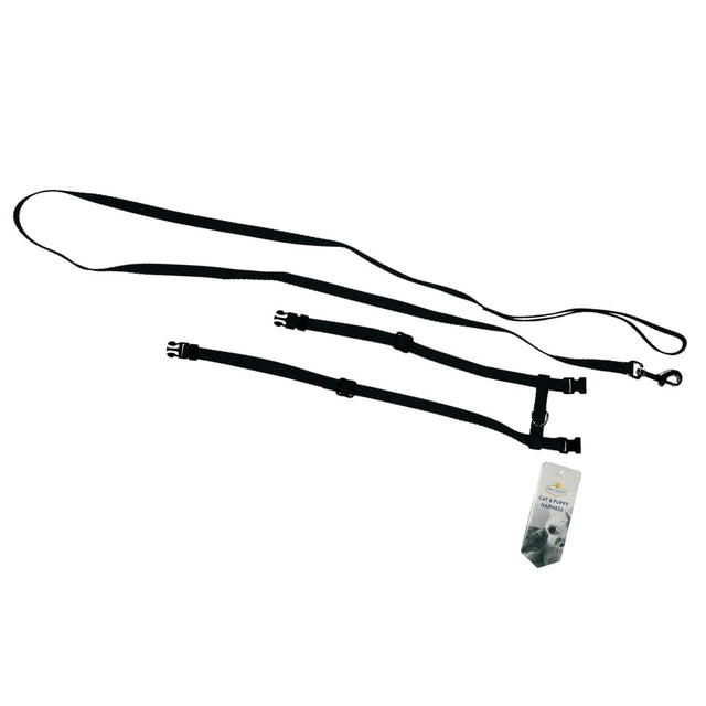 HARNESS & LEAD BLACK