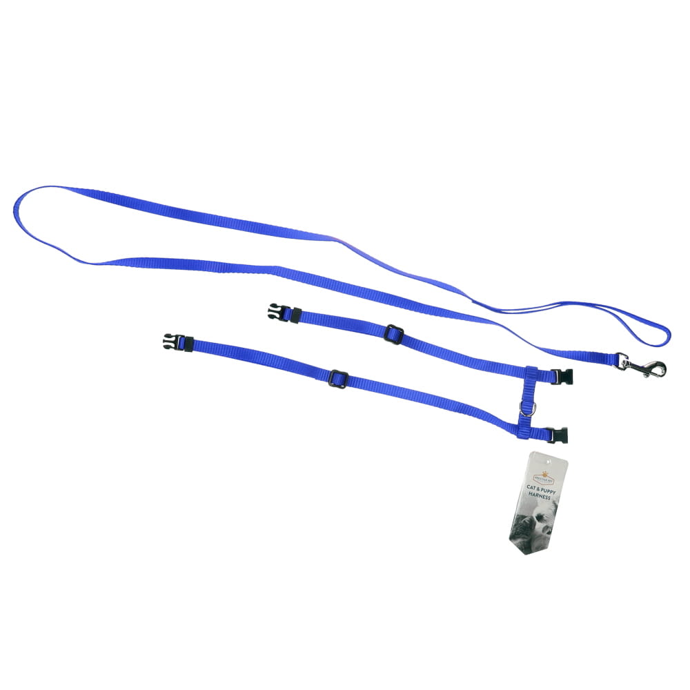 HARNESS & LEAD BLUE