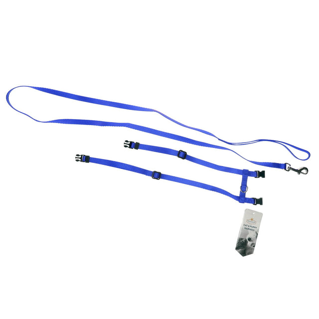 HARNESS & LEAD BLUE