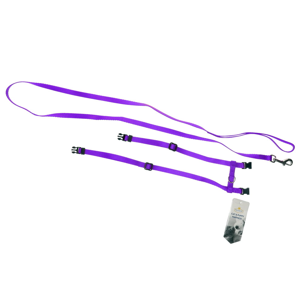 HARNESS & LEAD PURPLE