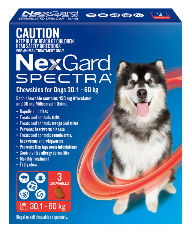 NexGard Spectra Chewables for Dogs 30.1-60kg 3 Pack